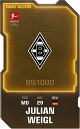 Julian Weigl - limited