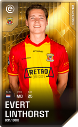 Evert Linthorst - limited