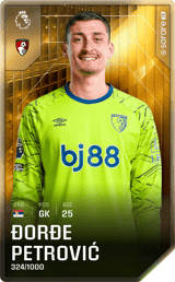 Đorđe Petrović - limited