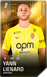 Yann Lienard - limited