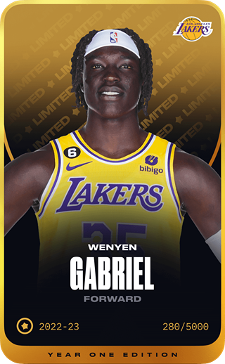 Wenyen Gabriel - limited