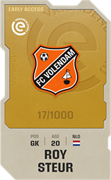 Roy Steur - limited