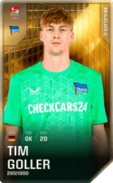 Tim Goller - limited