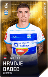 Hrvoje Babec - limited
