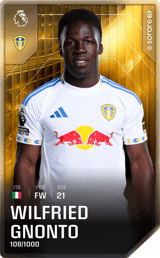 Wilfried Gnonto - limited