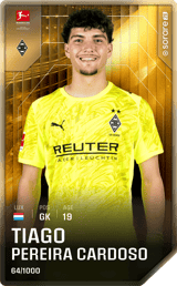 Tiago Pereira Cardoso - limited