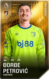 Đorđe Petrović - limited