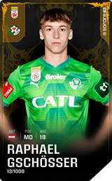 Raphael Gschösser - limited