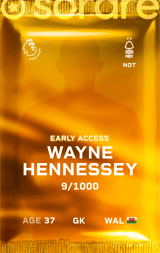 Wayne Hennessey - limited