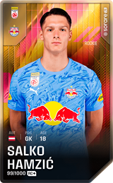 Salko Hamzić - limited