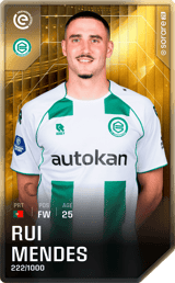 Rui Mendes - limited