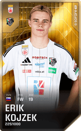 Erik Kojzek - limited