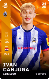 Ivan Canjuga - limited