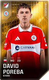 Dawid Poręba - limited