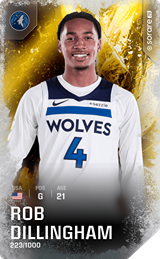 Rob Dillingham - limited