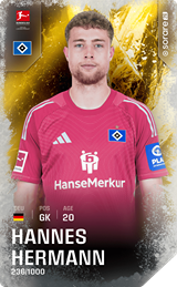 Hannes Hermann - limited