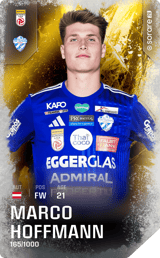 Marco Hoffmann - limited