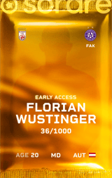 Florian Wustinger - limited