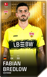 Fabian Bredlow - limited