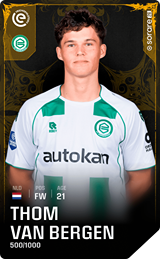 Thom van Bergen - limited