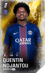 Quentin Ndjantou - limited