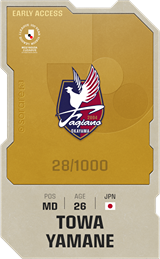 Towa Yamane - limited