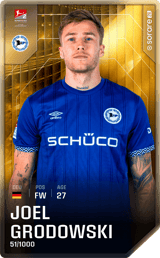Joel Grodowski - limited