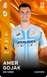 Amer Gojak - limited