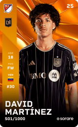 David Martínez - limited