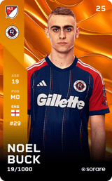 Noel Buck - limited