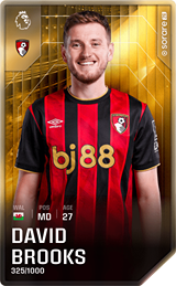 David Brooks - limited