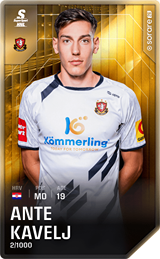 Ante Kavelj - limited