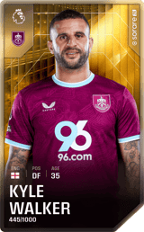 Kyle Walker - limited