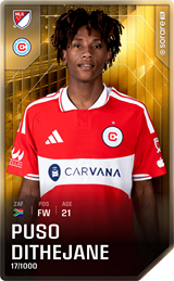 Puso Dithejane - limited