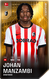 Johan Manzambi - limited