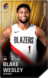 Blake Wesley - limited