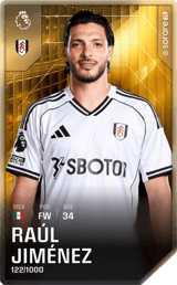 Raúl Jiménez - limited