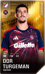 Dor Turgeman - limited