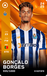 Gonçalo Borges - limited
