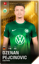 Dženan Pejčinović - limited