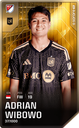 Adrian Wibowo - limited