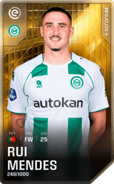 Rui Mendes - limited