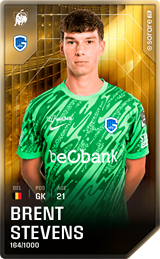 Brent Stevens - limited