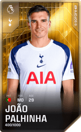 João Palhinha - limited