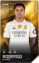 Rodrygo - limited
