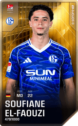 Soufian El-Faouzi - limited