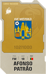 Afonso Patrão - limited