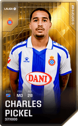 Charles Pickel - limited