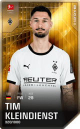 Tim Kleindienst - limited