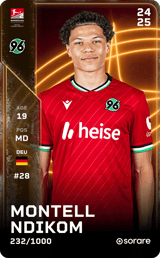 Montell Ndikom - limited